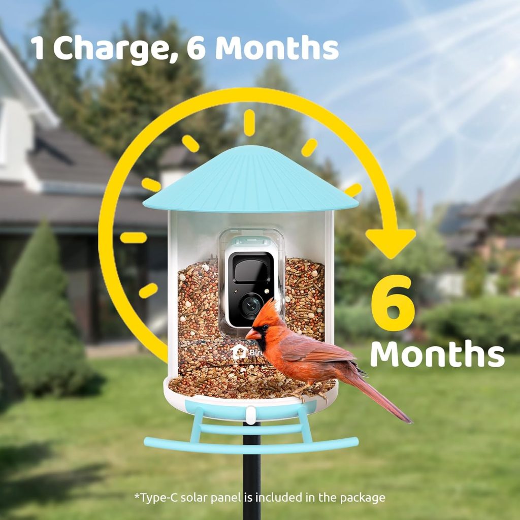 NETVUE Birdfy Smart Bird Feeder