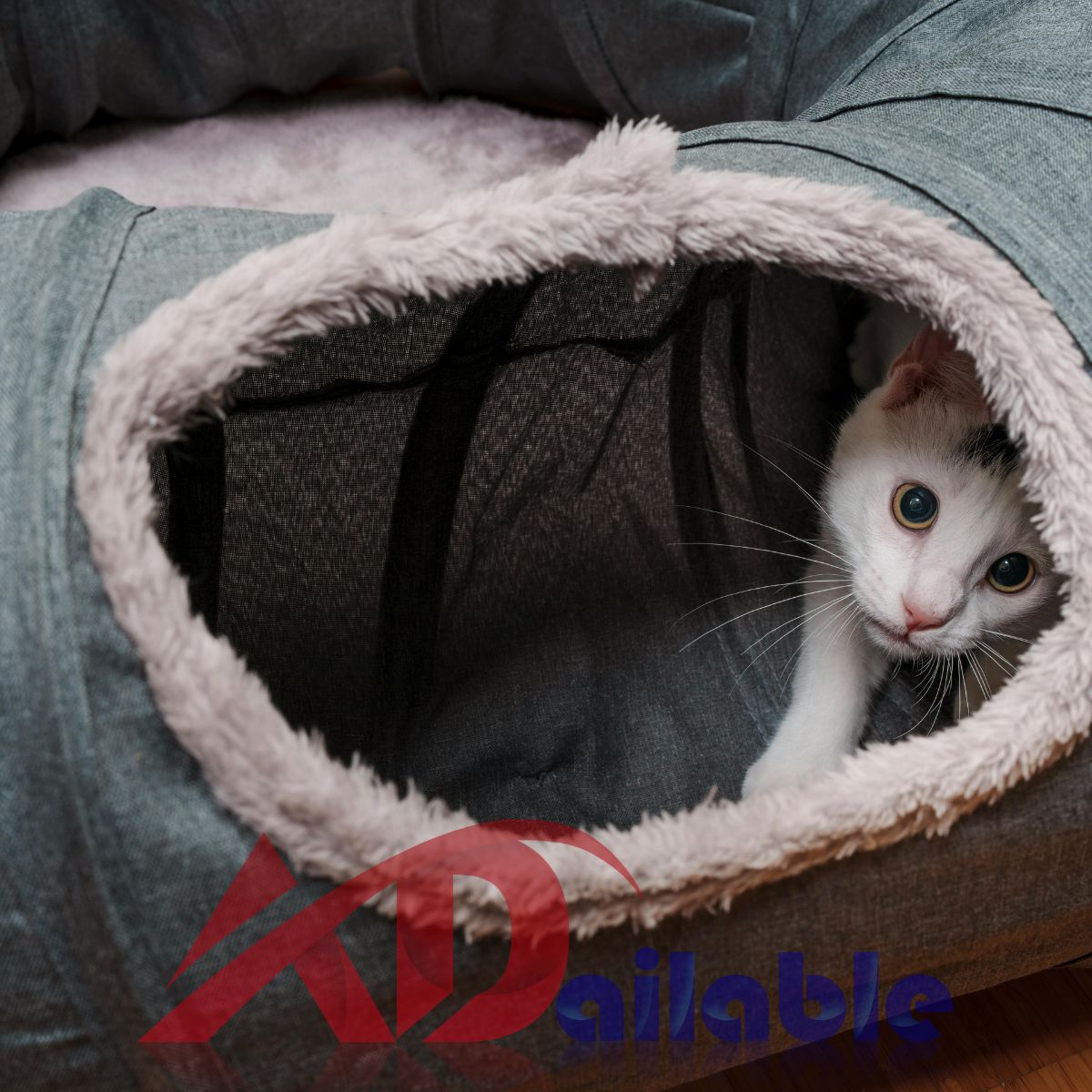 Featured Cat Tunnel Bed for Indoor Cats