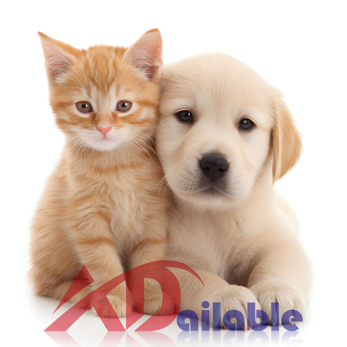 Natural Flea and Tick Drops