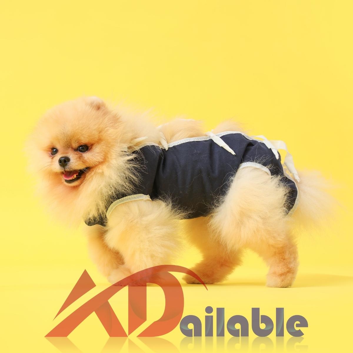 Featured PetWarm Recovery Suit