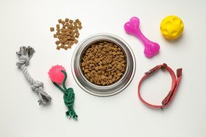 Best Pet Nutrition Tips for Beginners