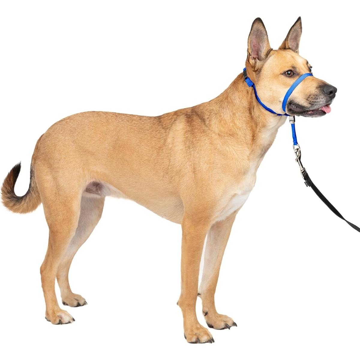 PetSafe Gentle Leader Headcollar