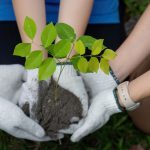 Simple Guide To Local Community Services