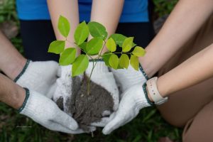 Simple Guide To Local Community Services